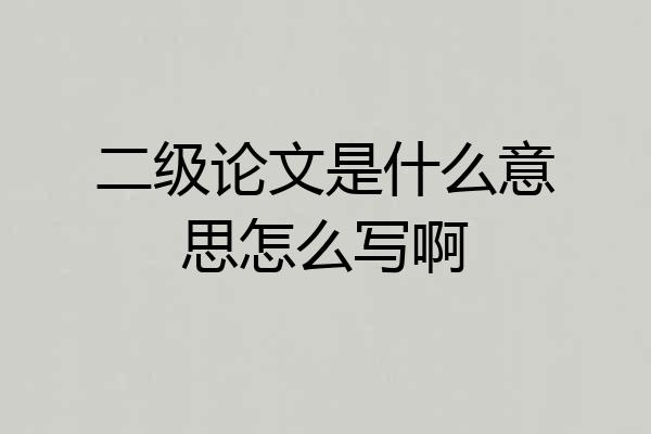 二级论文是什么意思怎么写啊