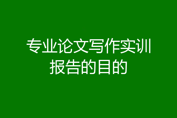 专业论文写作实训报告的目的