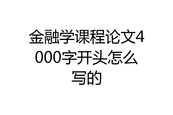 金融学课程论文4000字开头怎么写的