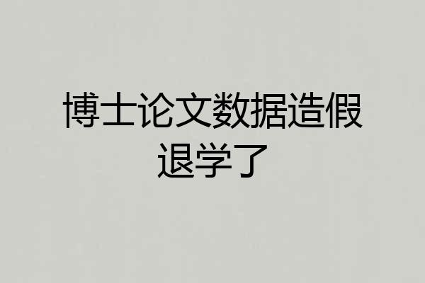 博士论文数据造假退学了
