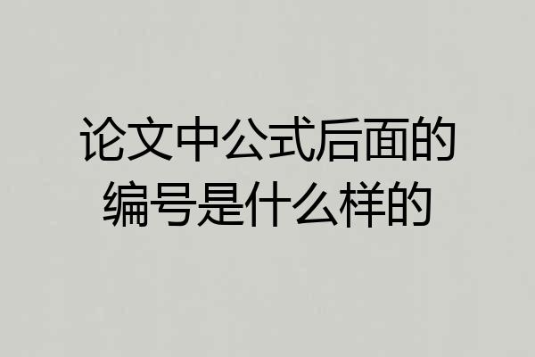 论文中公式后面的编号是什么样的
