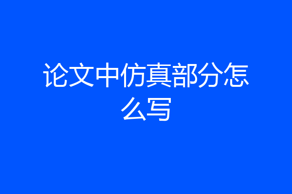 论文中仿真部分怎么写