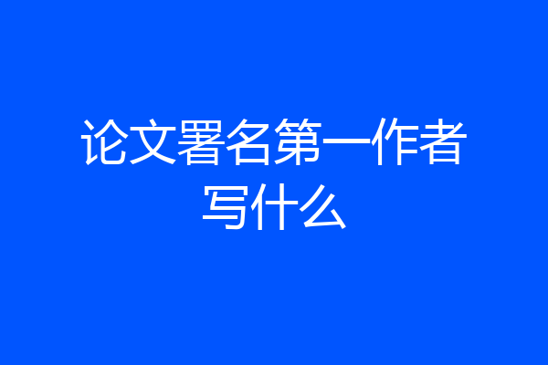 论文署名第一作者写什么