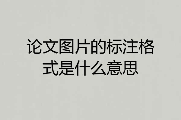 论文图片的标注格式是什么意思