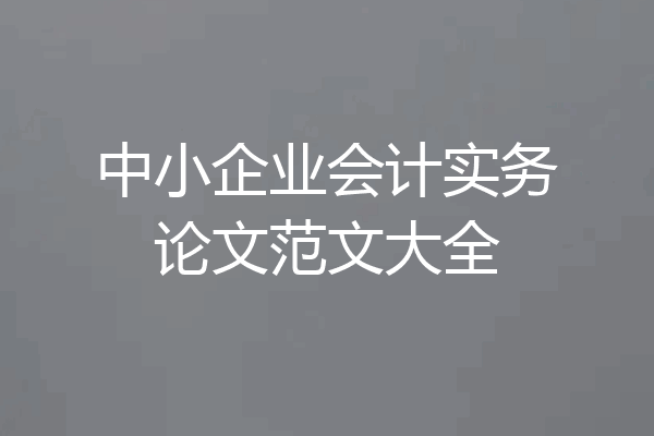 中小企业会计实务论文范文大全