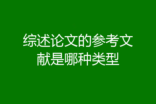 综述论文的参考文献是哪种类型
