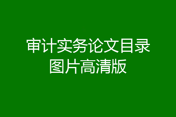 审计实务论文目录图片高清版