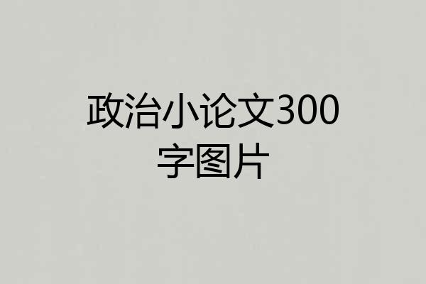 政治小论文300字图片