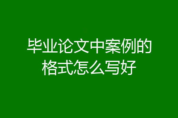 毕业论文中案例的格式怎么写好