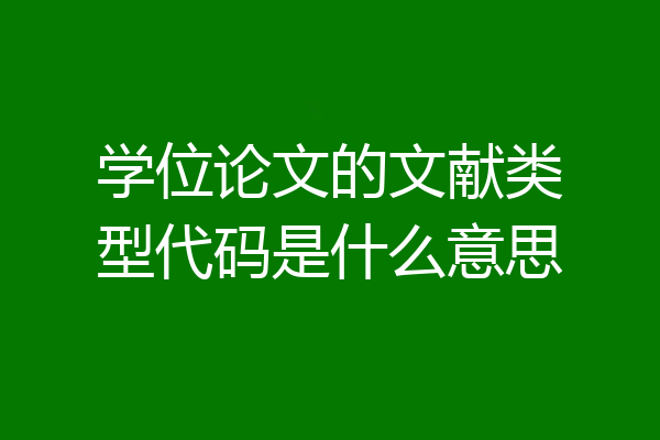 学位论文的文献类型代码是什么意思