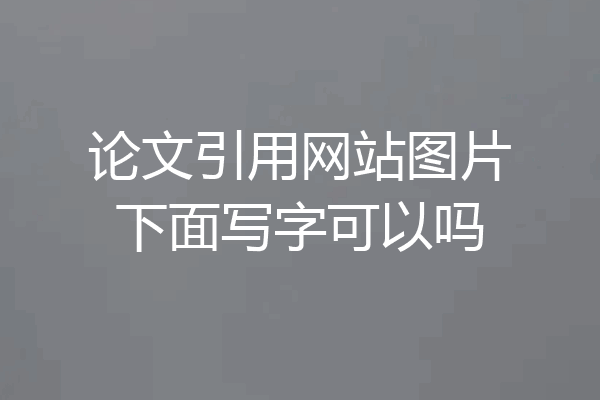 论文引用网站图片下面写字可以吗