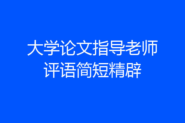 大学论文指导老师评语简短精辟