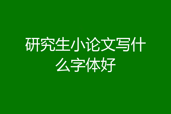 研究生小论文写什么字体好