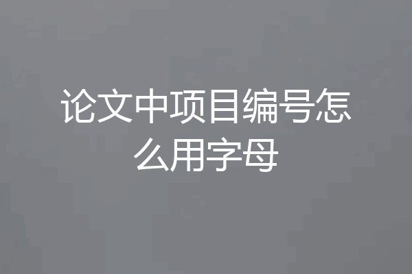 论文中项目编号怎么用字母