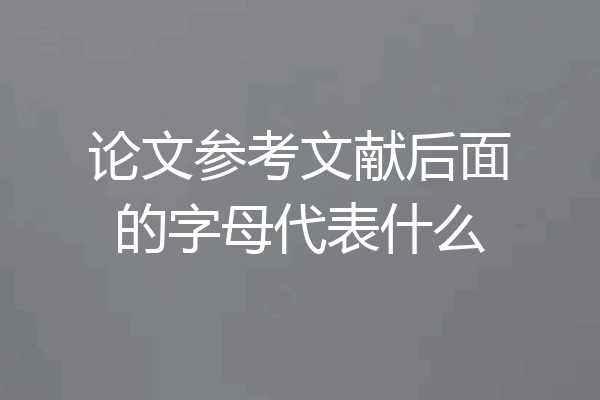 论文参考文献后面的字母代表什么