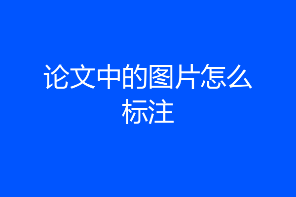 论文中的图片怎么标注