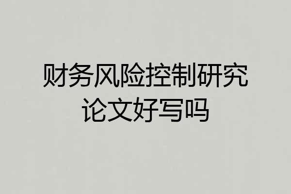 财务风险控制研究论文好写吗