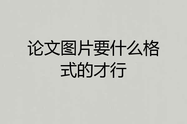 论文图片要什么格式的才行