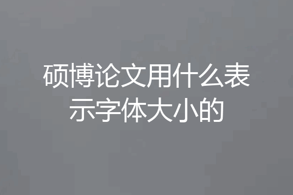 硕博论文用什么表示字体大小的