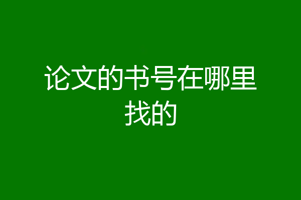 论文的书号在哪里找的