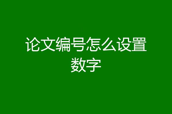 论文编号怎么设置数字