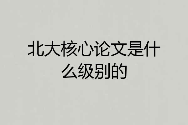 北大核心论文是什么级别的