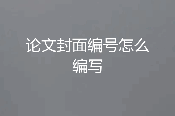 论文封面编号怎么编写