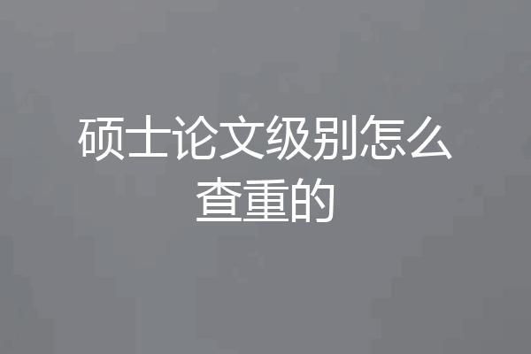 硕士论文级别怎么查重的