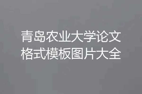 青岛农业大学论文格式模板图片大全