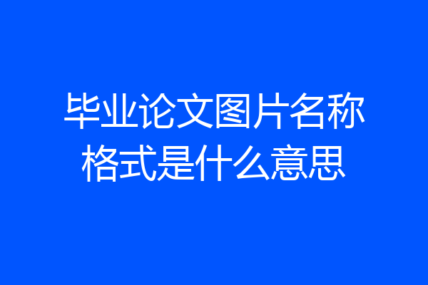 毕业论文图片名称格式是什么意思