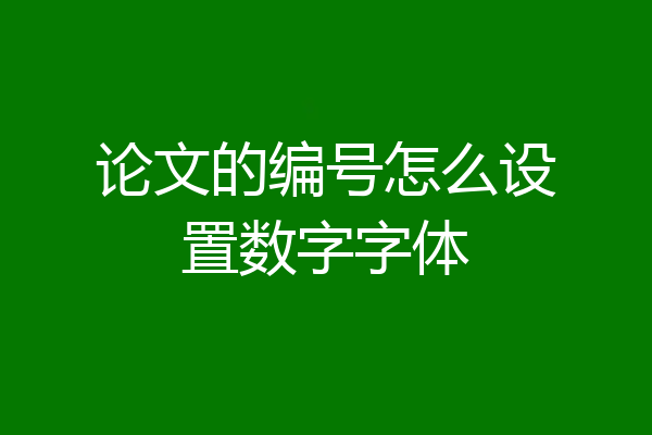 论文的编号怎么设置数字字体