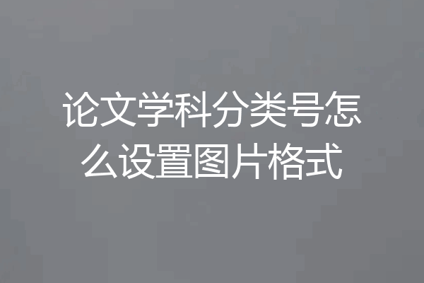 论文学科分类号怎么设置图片格式
