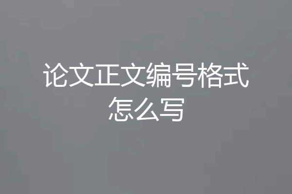 论文正文编号格式怎么写