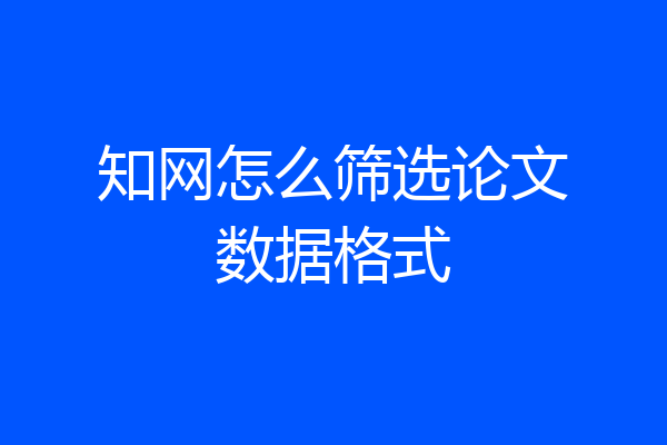 知网怎么筛选论文数据格式