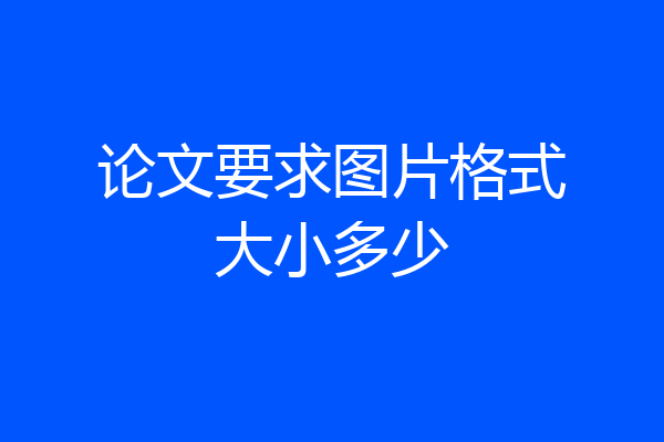 论文要求图片格式大小多少