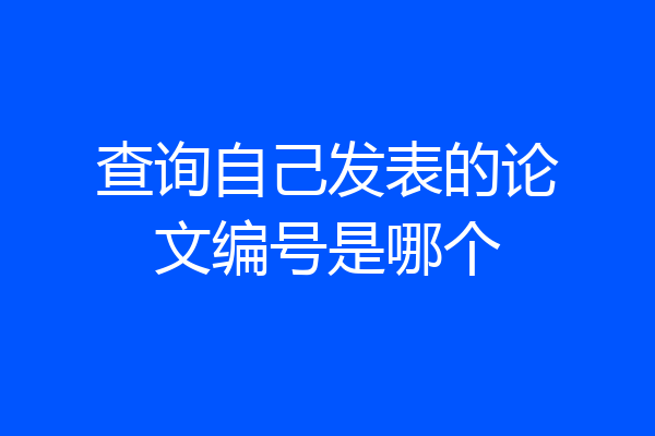 查询自己发表的论文编号是哪个
