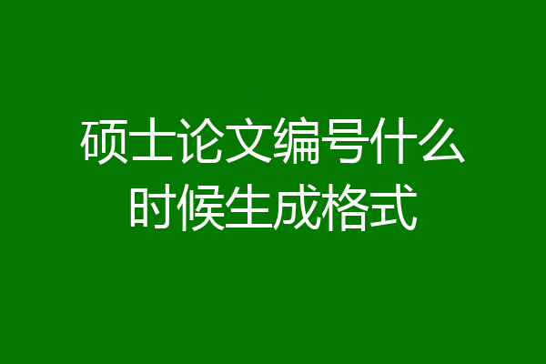硕士论文编号什么时候生成格式