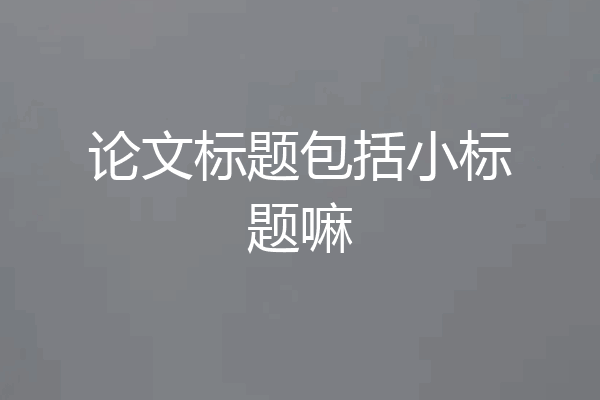 论文标题包括小标题嘛