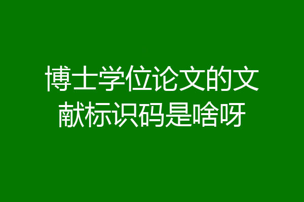 博士学位论文的文献标识码是啥呀