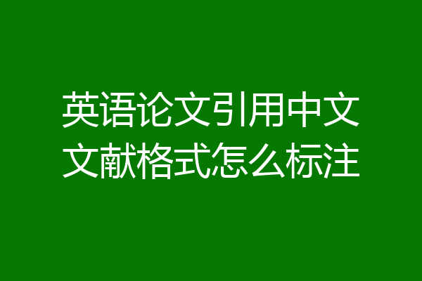 英语论文引用中文文献格式怎么标注