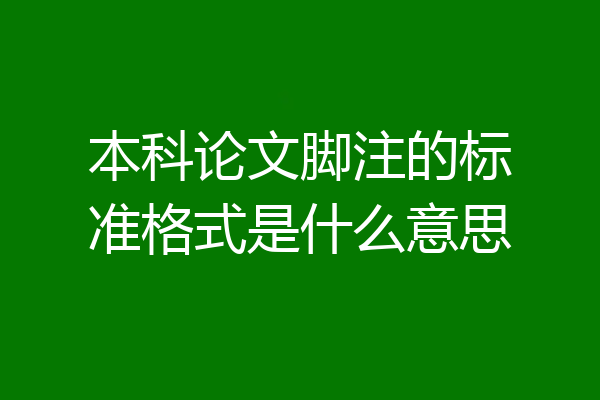 本科论文脚注的标准格式是什么意思