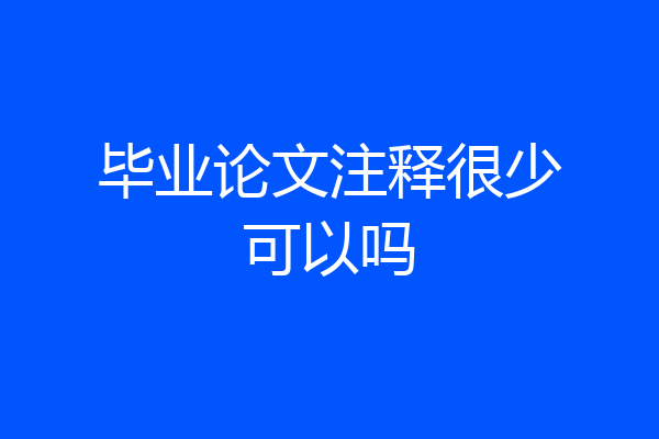 毕业论文注释很少可以吗