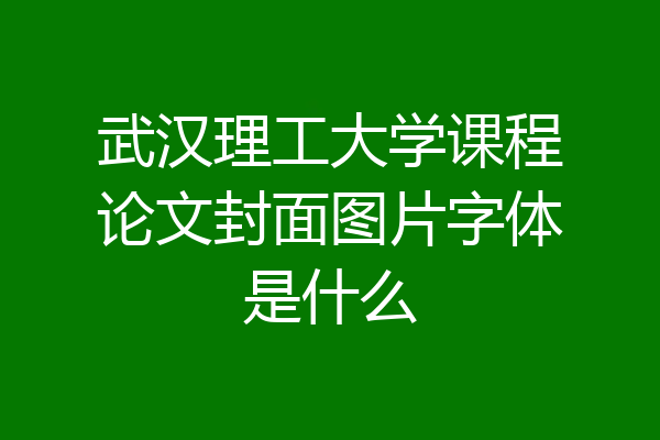 武汉理工大学课程论文封面图片字体是什么