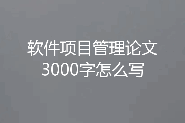 软件项目管理论文3000字怎么写