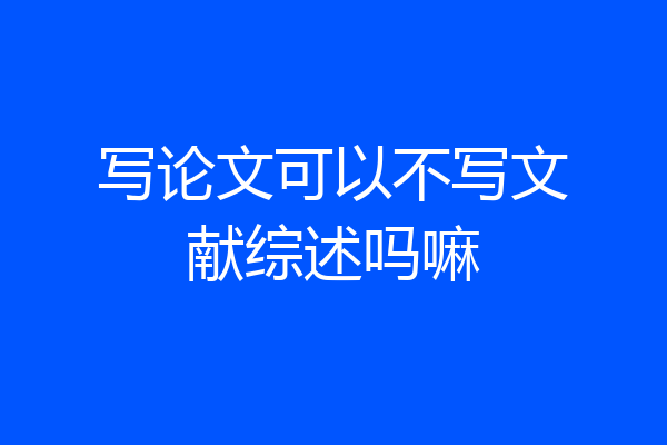 写论文可以不写文献综述吗嘛