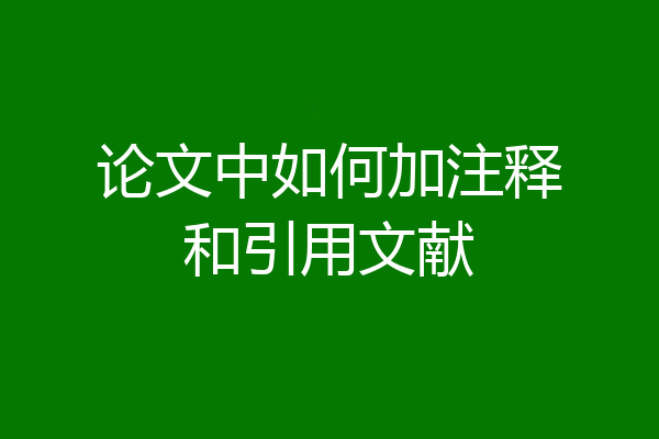 论文中如何加注释和引用文献