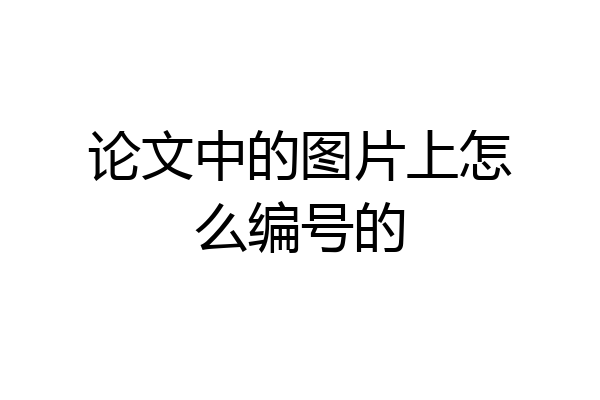 论文中的图片上怎么编号的