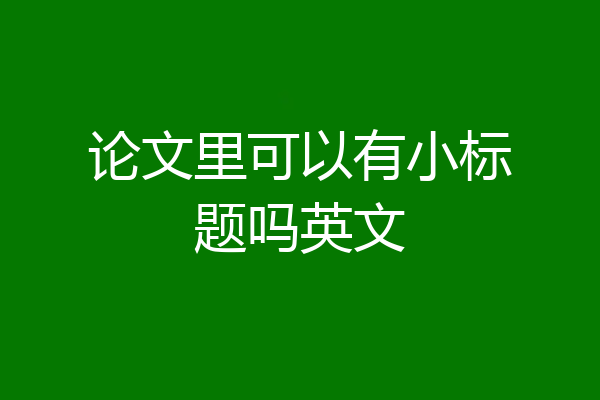 论文里可以有小标题吗英文