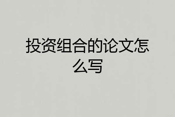 投资组合的论文怎么写