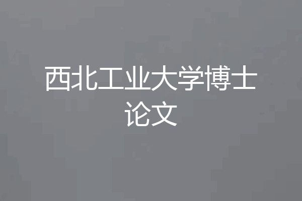 西北工业大学博士论文